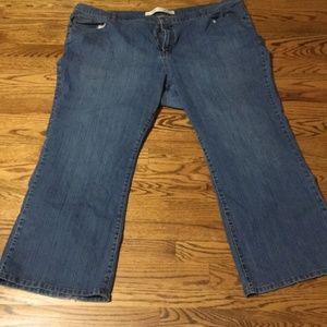 Women's Venezia Flare Wide leg plus size jean